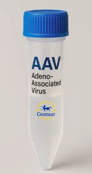 PON3 AAV Vector (Mouse) (CMV)