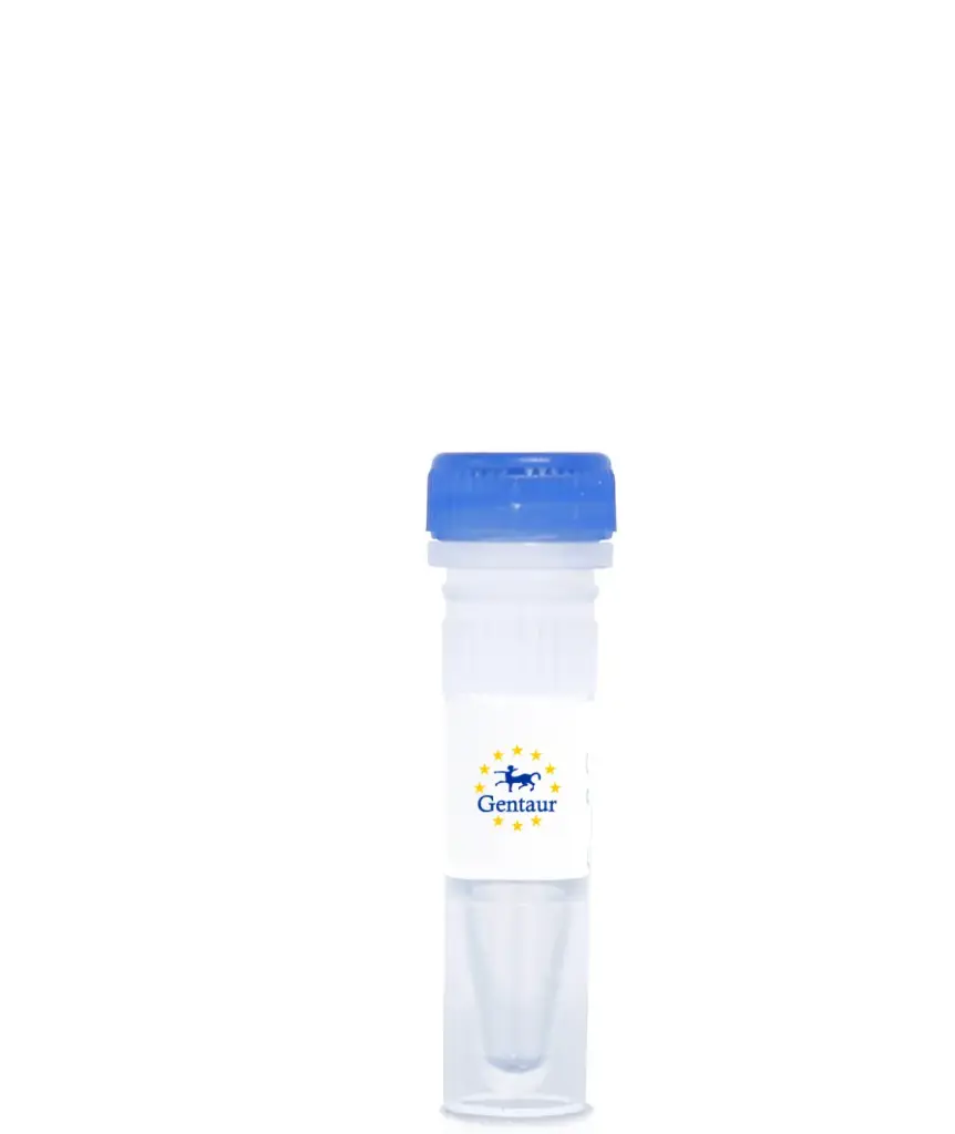 Chikungunya IgM Combo Rapid Test